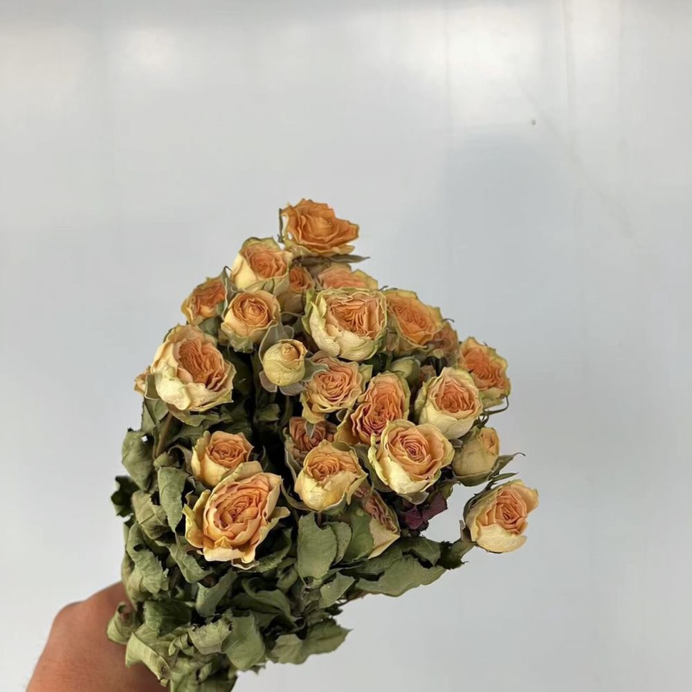 Real Preserved Roses Dried Flo - огляд і ціна Resin Art Rose Preservation