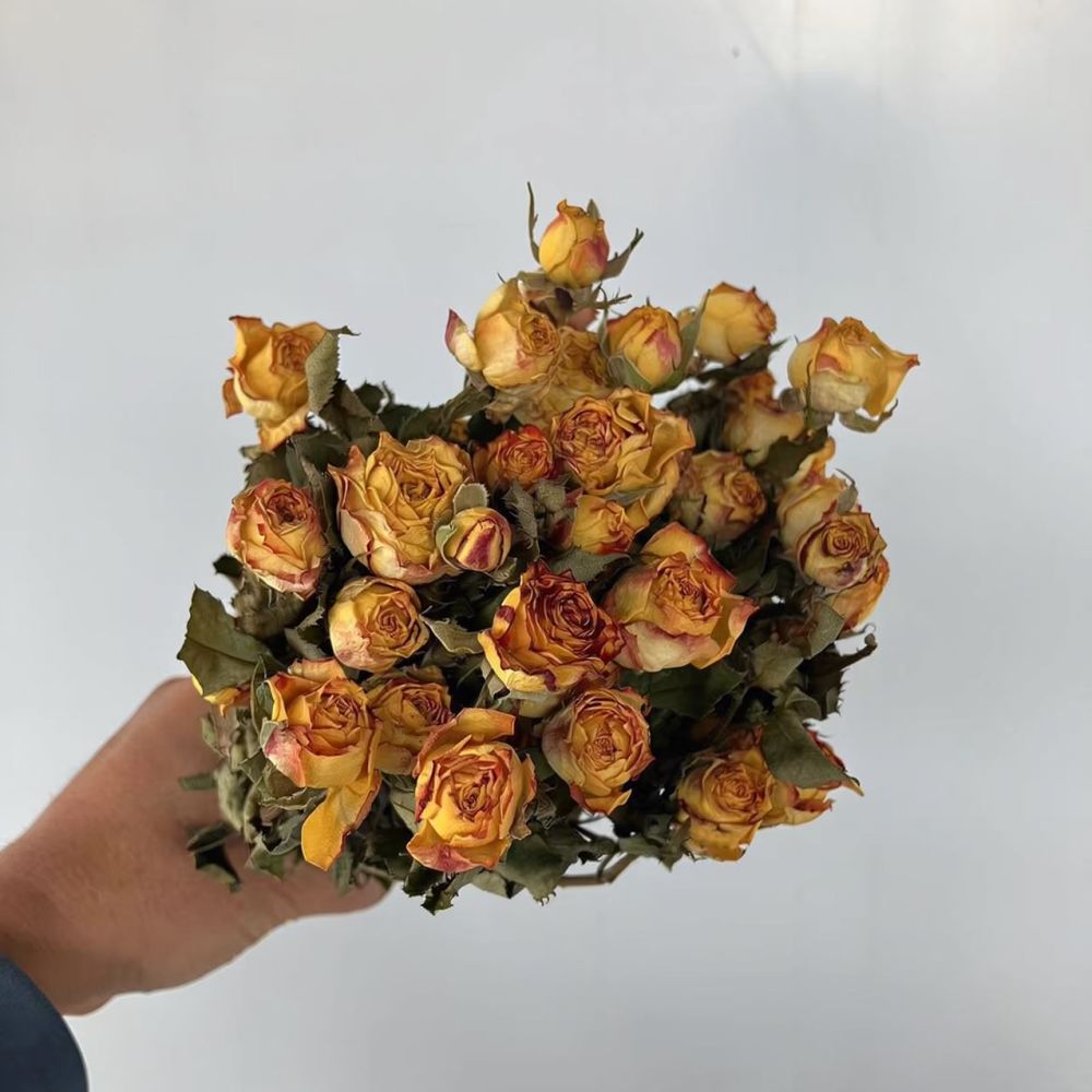 Real Preserved Roses Dried Flo - огляд і ціна Resin Art Rose Preservation