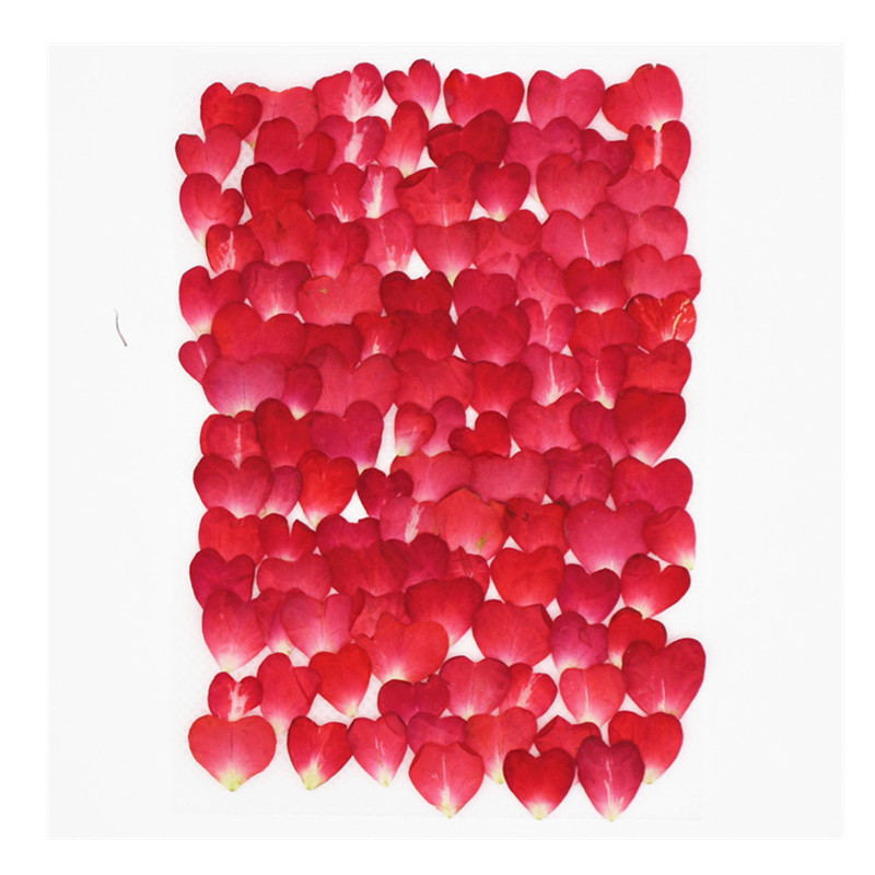 120Pcs Rose Petals Mixed Pack, - огляд і ціна Resin Art Rose Petals